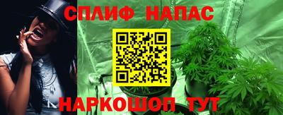 наркотики Новодвинск
