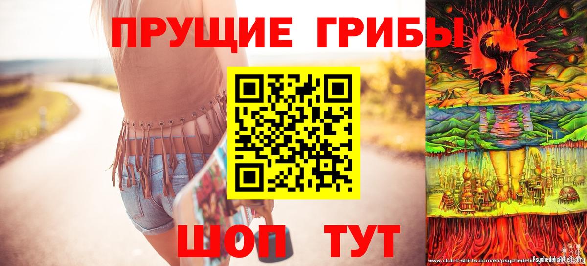 Псилоцибиновые грибы Magic Shrooms Тара
