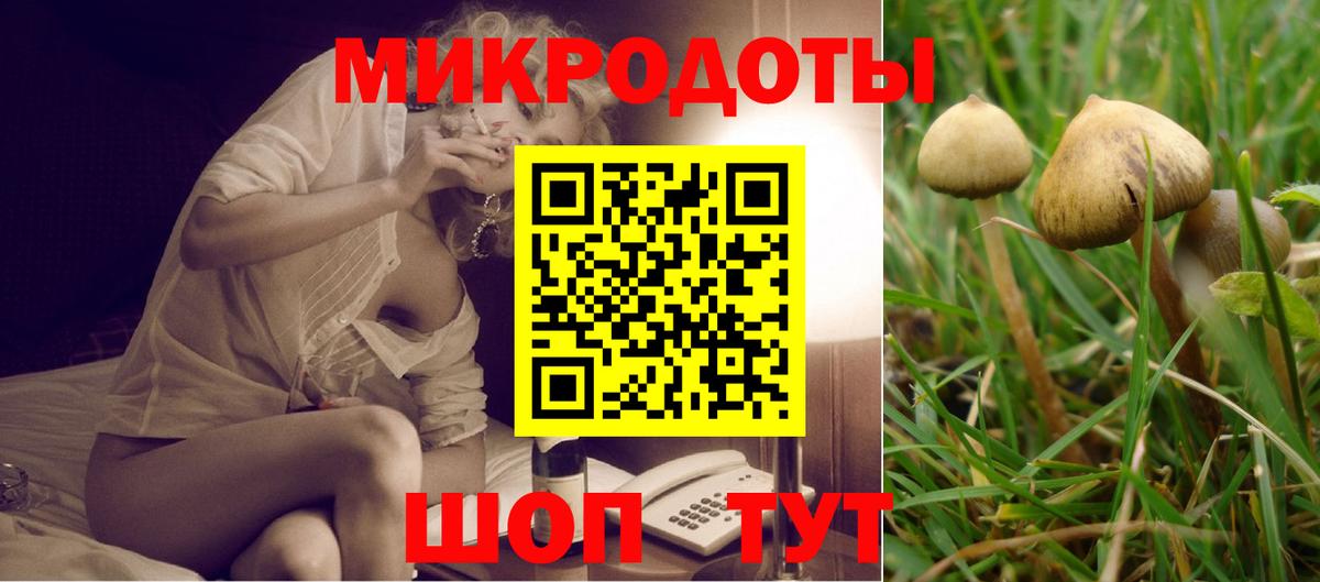 Тара  Галлюциногенные грибы Magic Shrooms  Вход с VPN  Галлюциногенные грибы Cubensis 